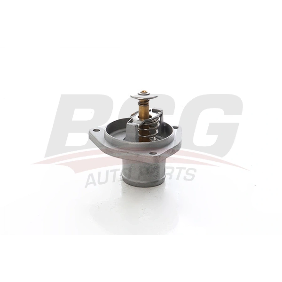 TERMOSTAT W140-129 M119 90-98