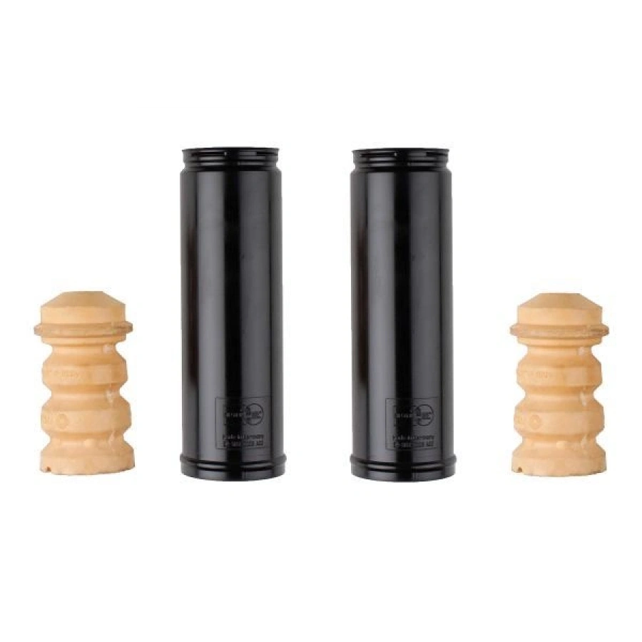 TOZ KÖRÜĞÜ RENAULT MEGAN 3 2008/2015