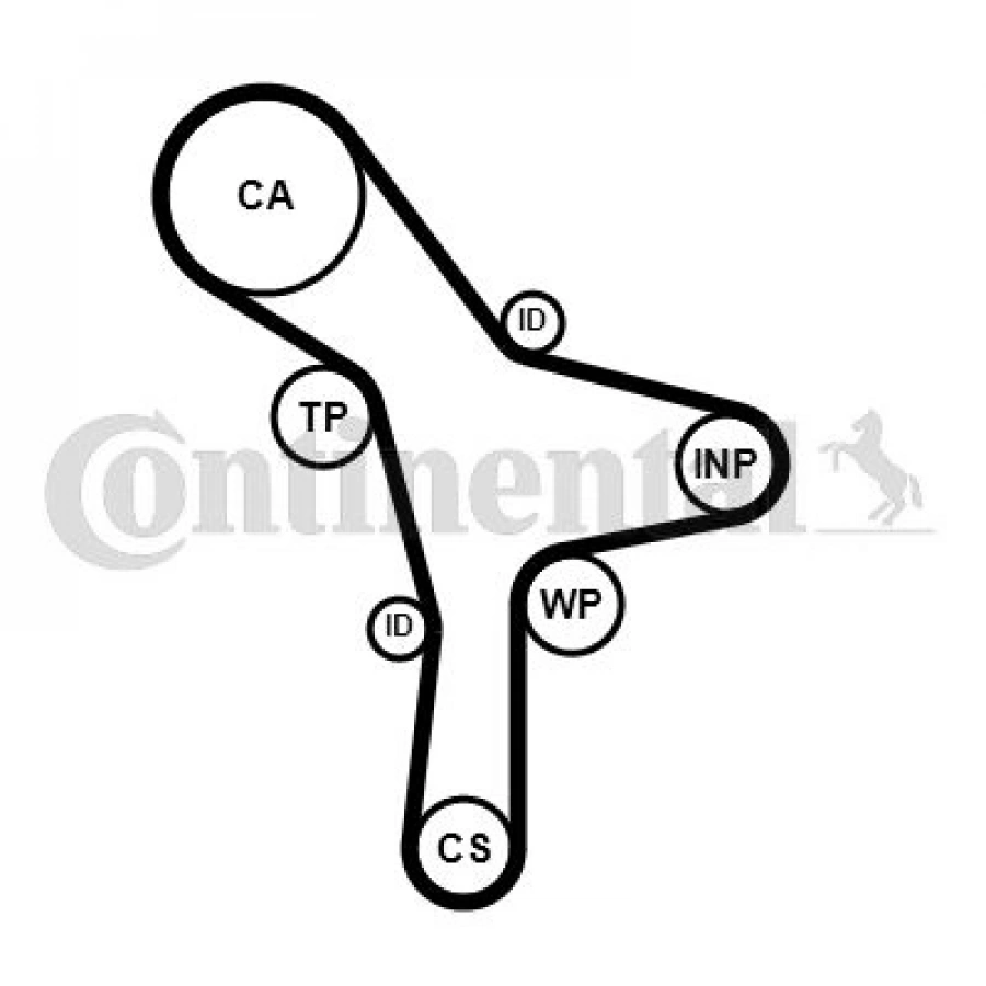 TRİGER EKSANTRİK KAYIŞI