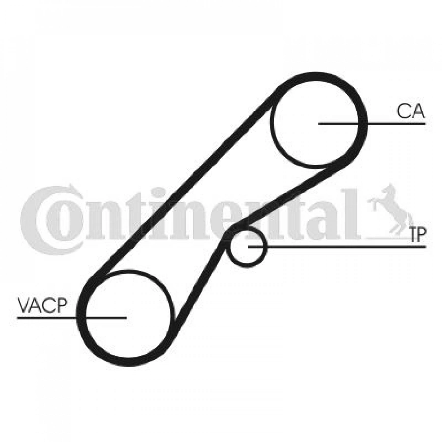 TRİGER EKSANTRİK KAYIŞI