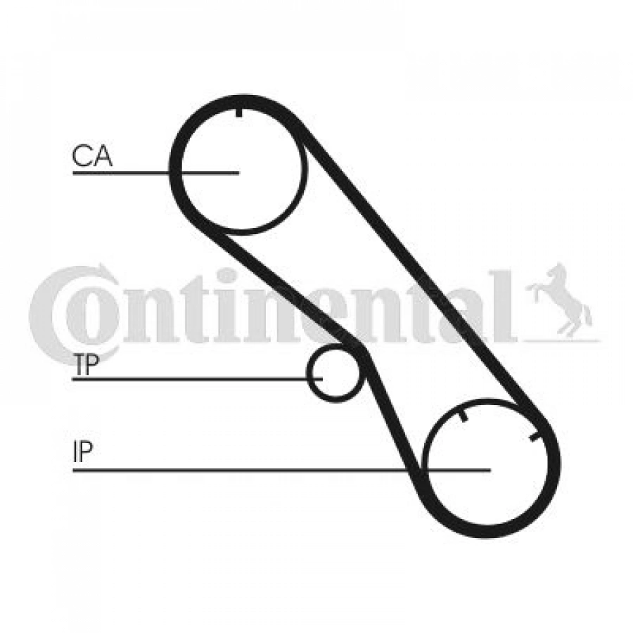 TRİGER EKSANTRİK KAYIŞI