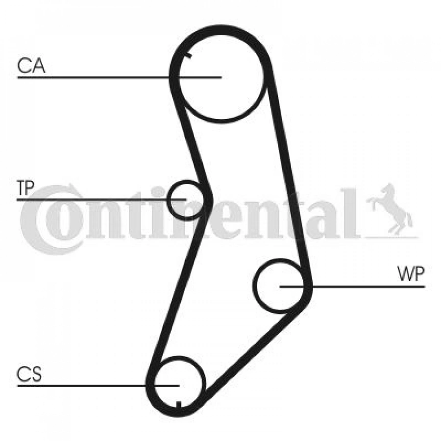 TRİGER EKSANTRİK KAYIŞI