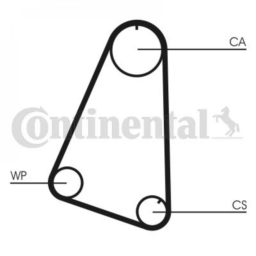 TRİGER EKSANTRİK KAYIŞI 101×170 CORSA 1.2 8V 8293 KADET 1.2 8V 8187 CT526