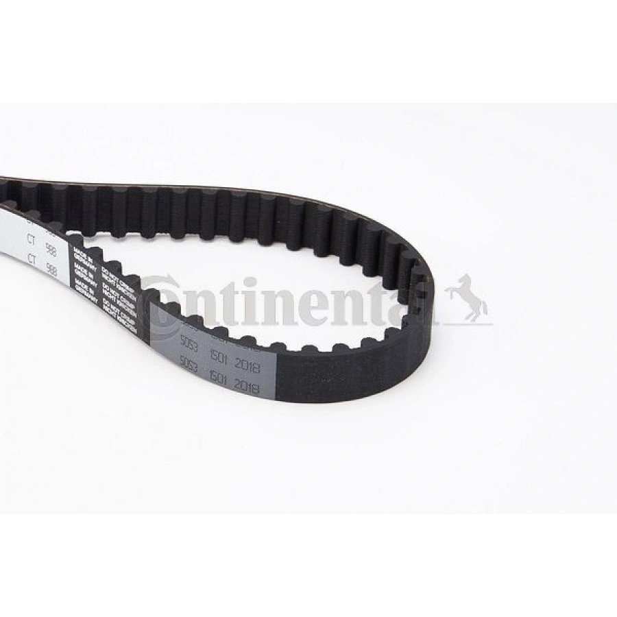 TRİGER EKSANTRİK KAYIŞI 153×260 MOVANO 1.9D 8V 99>03 CLIO KANGOO LAGUNA MEGANE SCENIC MASTER 1.9D 8V 5561XS