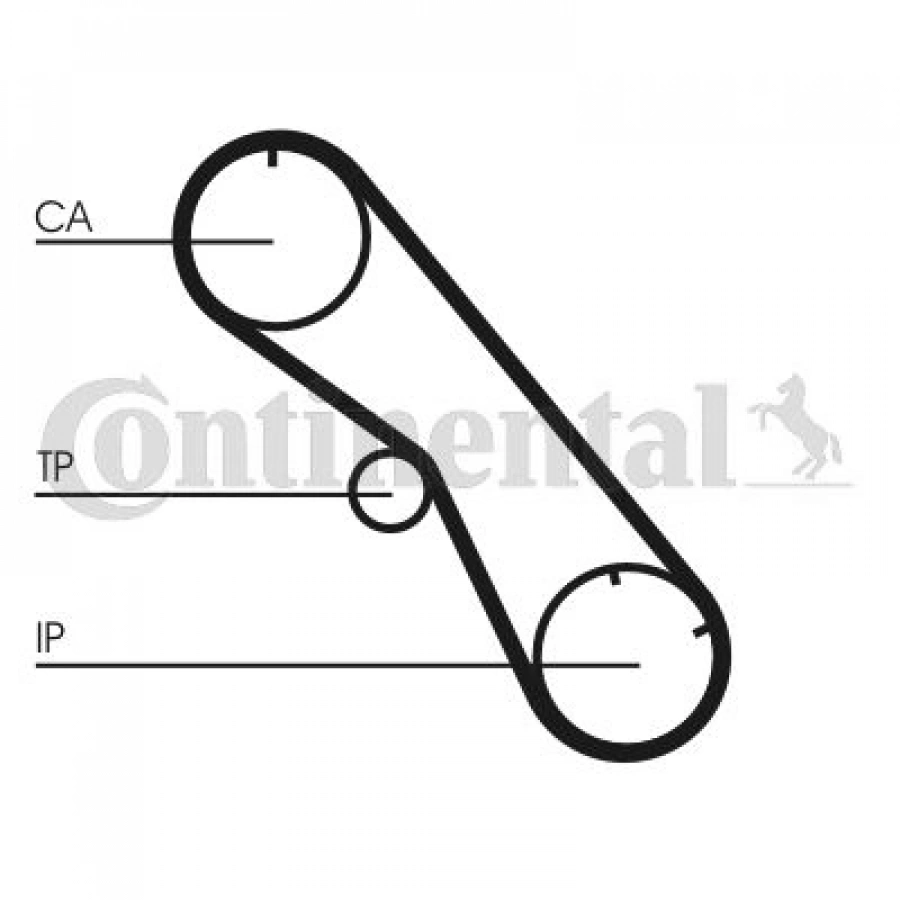 TRİGER EKSANTRİK KAYIŞI 178×254 TOYOTA MR 2.0 16V 88>95 5194XS