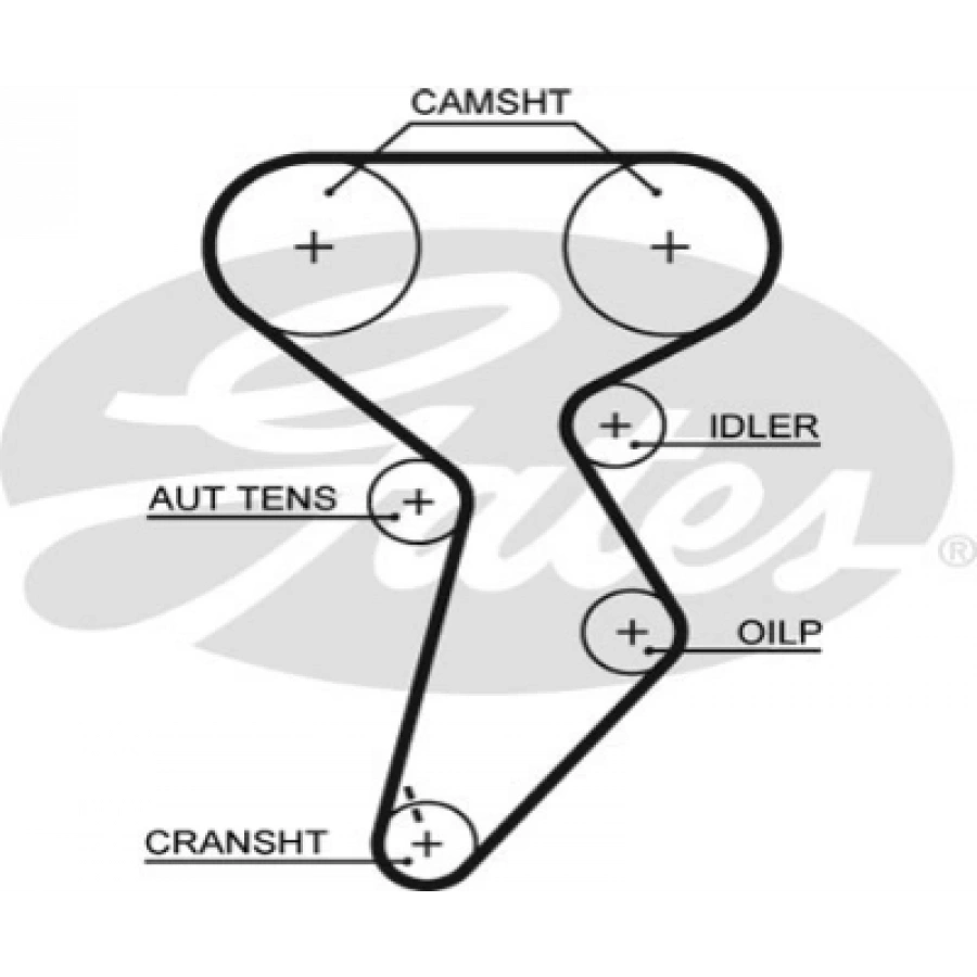 TRIGER KAYISI 158RHPN254H PALIO/MAREA 1.6 16V 98-
