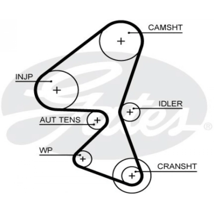 TRIGER KAYISI (3646452) / (141 DIS GENISLIK 20 MM) FOCUS/C-MAX/FIESTA/COURIER/308/3008/BERLINGO/CROSSLAND/GRANDLAND 1,5 EURO 6 DIZEL DV5FD 15-