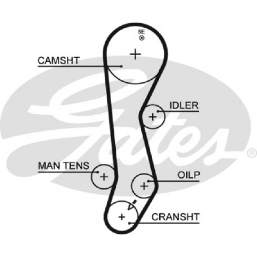 TRIGER KAYISI . PASEO (L44, L54) 1.5 91-99