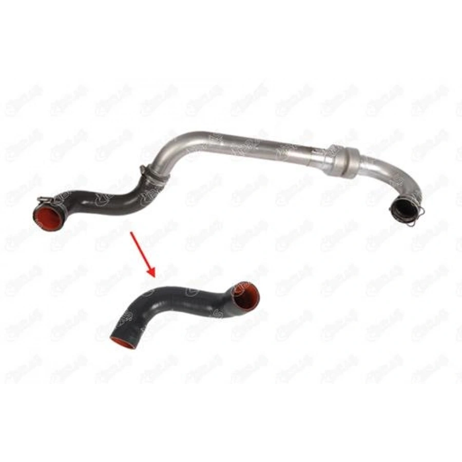 TURBO HORTUMU MEGANE II SCENIC II 1.5 DCI 03-