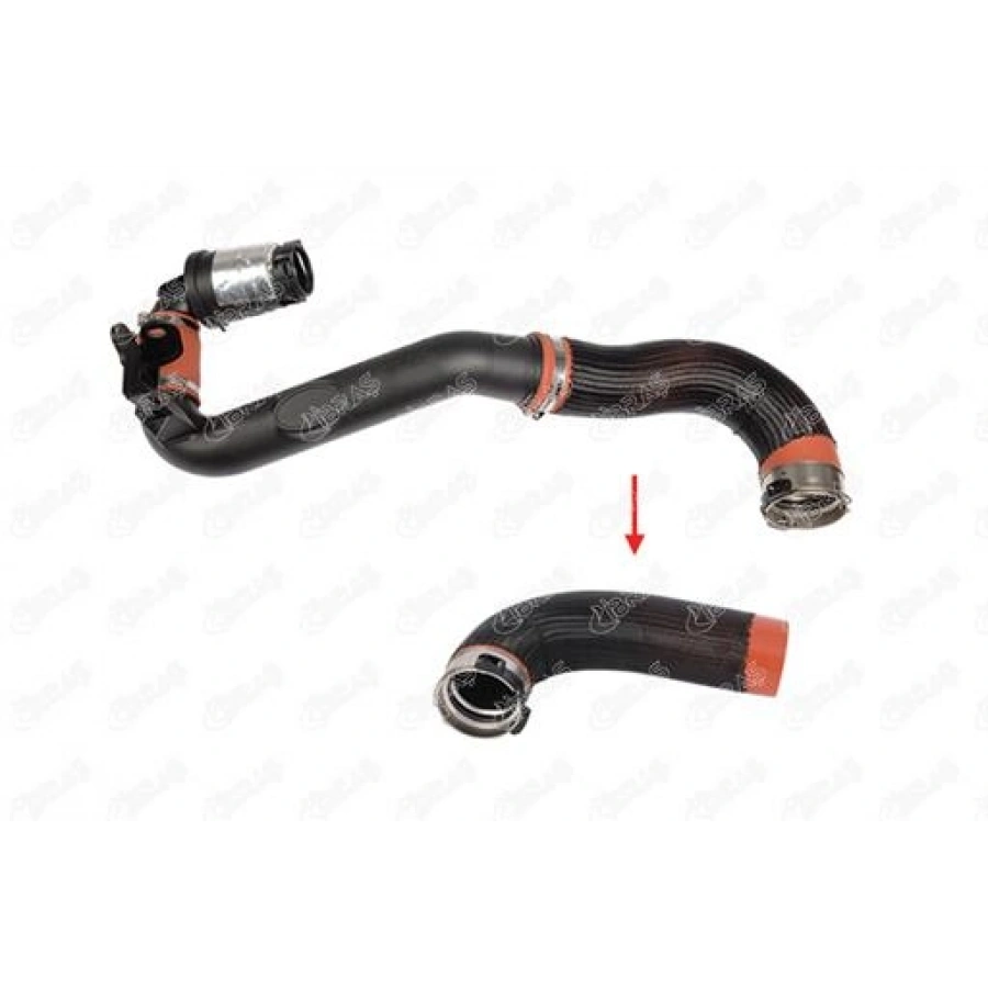 TURBO HORTUMU PLASTIK BORU HARIÇ BÜYÜK HORTUM MASTER III 2.3 DCI 09-