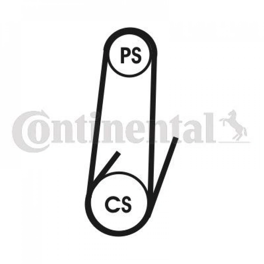 V KAYIŞI 10×700LA CITREN PEUGEOT