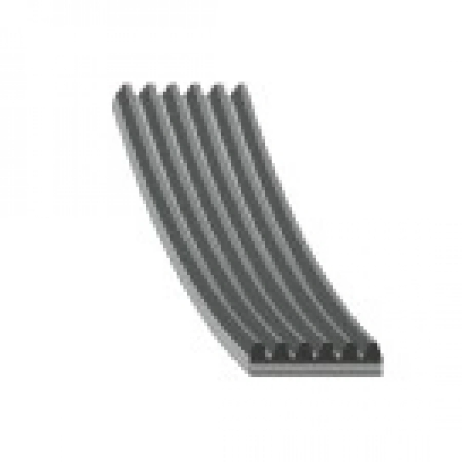 V KAYISI 6PK 1059 FOCUS/C-MAX 97-00