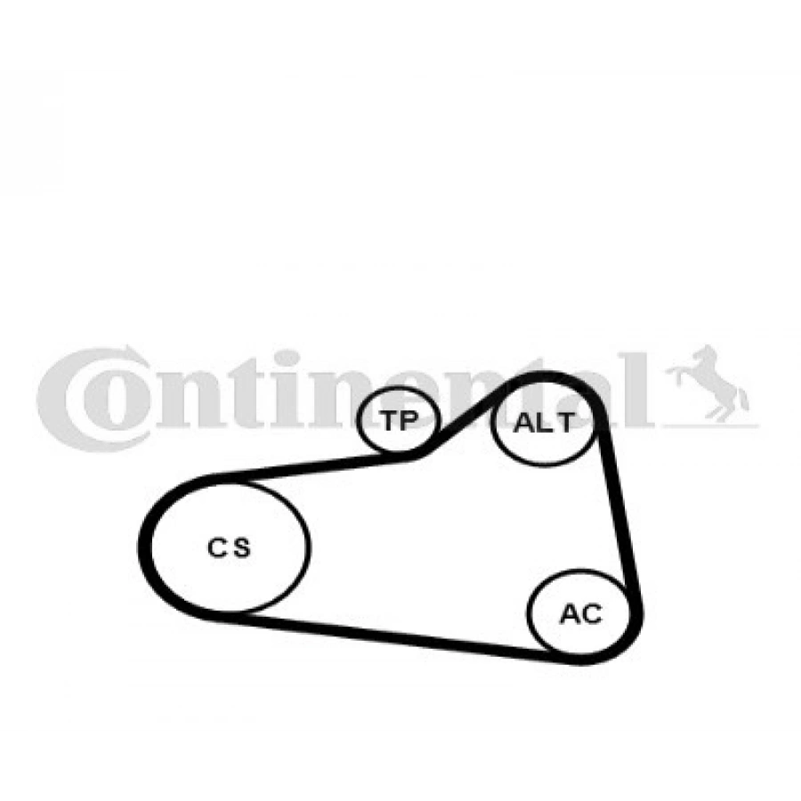 V KAYISI (6PK905) C4/207/308/MINI B.M 07-