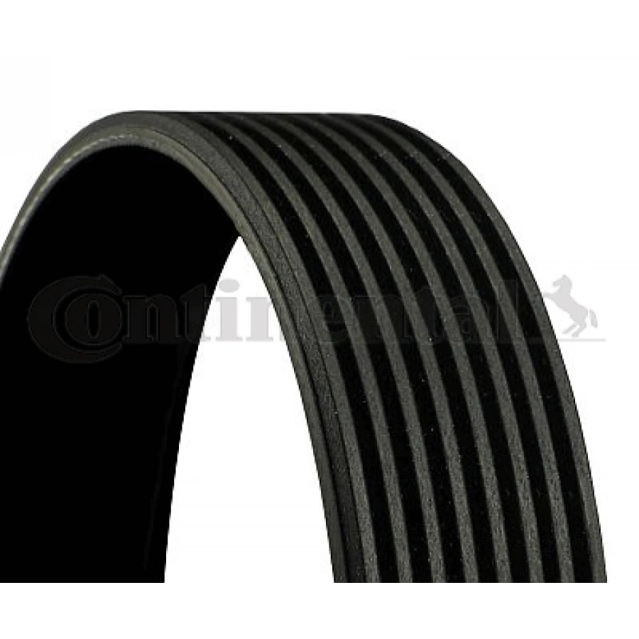 V KAYISI F10-F112-F13 N55 10-17