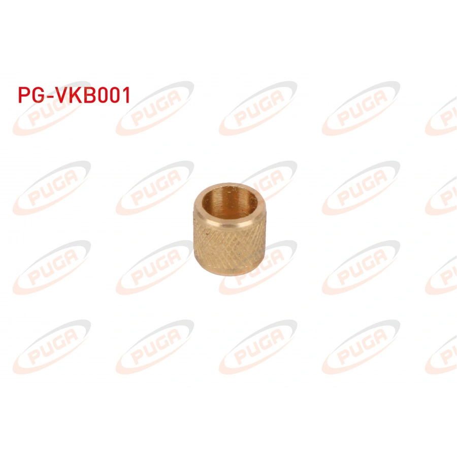 VITES KOL BURCU RENAULT 12