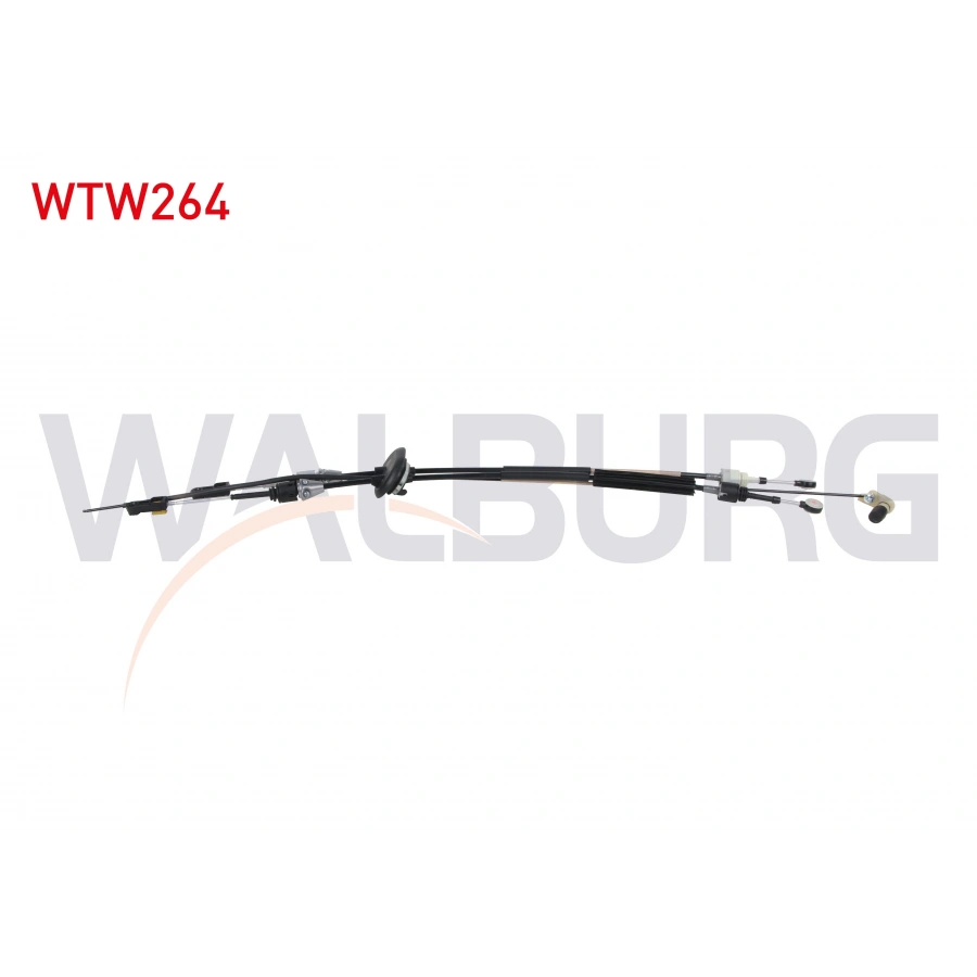 VITES TELI CITROEN C4 PICASSO 1.6 THP - 1.6 HDI 6 M-T (ML6C) 2006-2013