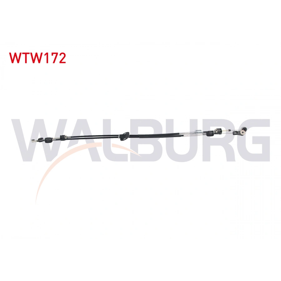 VITES TELI FORD FOCUS III 1.6 EcoBoost 2011-2015 / C-MAX II 1.5 EcoBoost 2010-