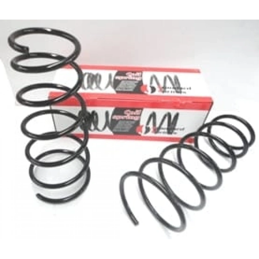 VOLKSWAGEN PASSAT- B6- 05/10; ÖN HELEZON YAYI SAĞ/SOL (2Lİ SET) 1.9/2.0 (12,75X141X347) (STDR)