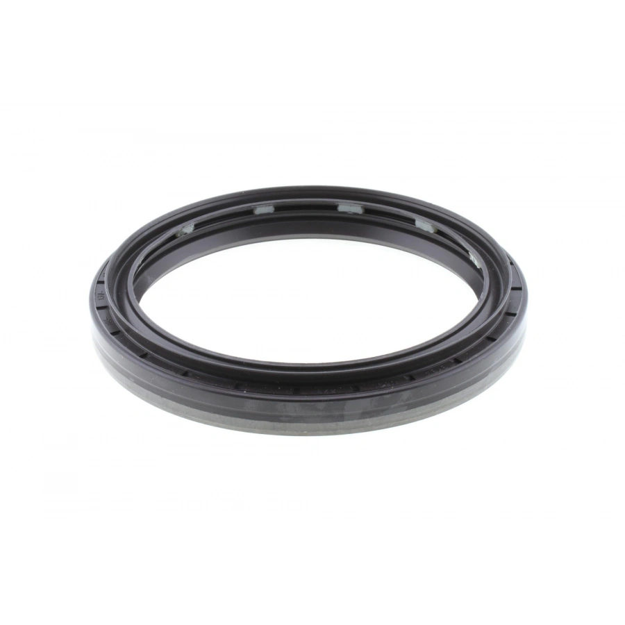 YAG KEÇESI TGA, F2000 BM 1994-