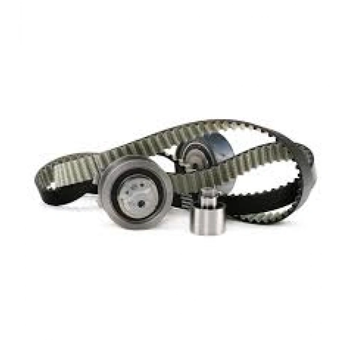 TRIGER SETI VW AUDI SEAT SKODA VW GOLF4 5 BORA A3 JETTA 1.6 AKL AEH BGU BSE BFQ ALZ 97 > INA 5300951100 (T1)