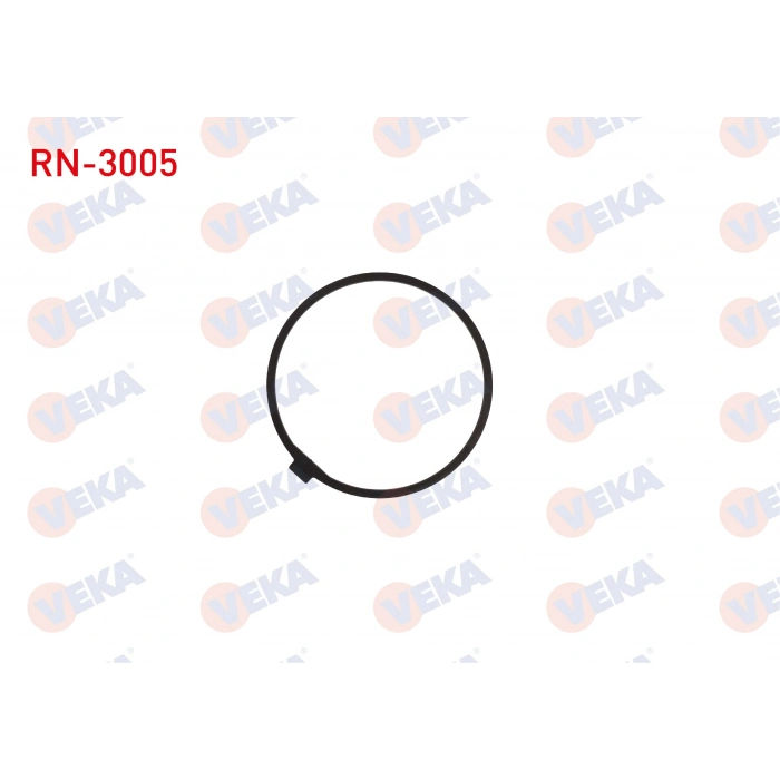 AKS DISLI SEKMANI TAKIM MASTER II 2003-2010