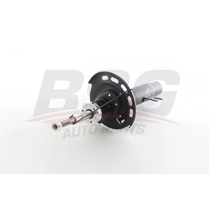 AMORTISÖR ÖN SAG 301 / C-ELYSEE B.M 2017-