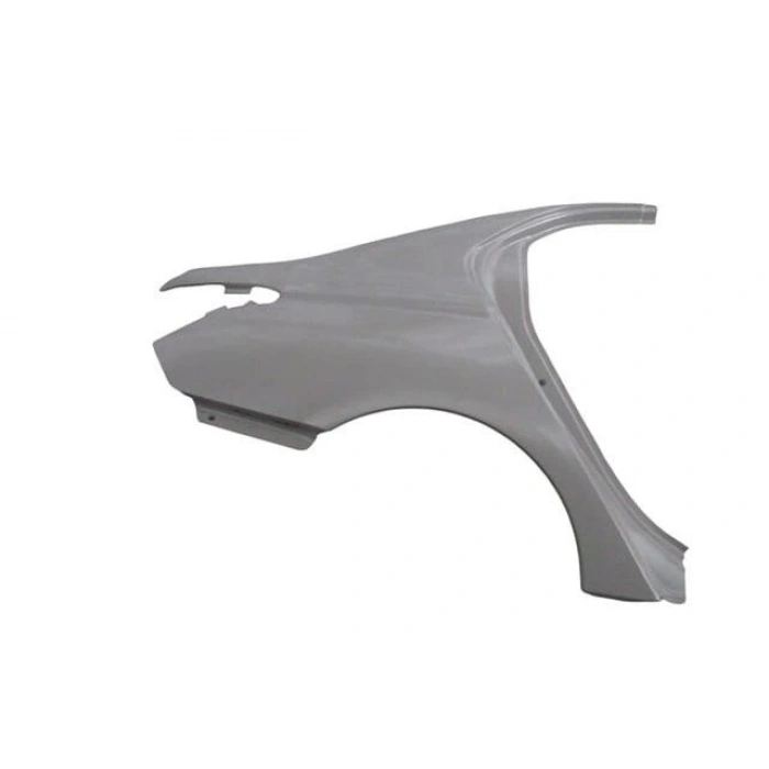 ARKA ÇAMURLUK SAG C-ELYSEE B.M 2012-