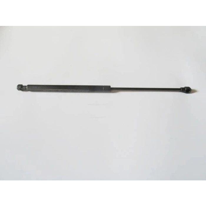 BAGAJ AMORTİSÖRÜ Kampanya | RENAULT | CLIO | 2004-2012