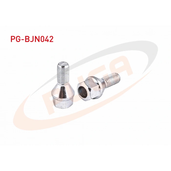 BIJON CIVATASI DELIKLI TIP RENAULT MEGANE / CLIO / KANGOO (E.M) AA.19