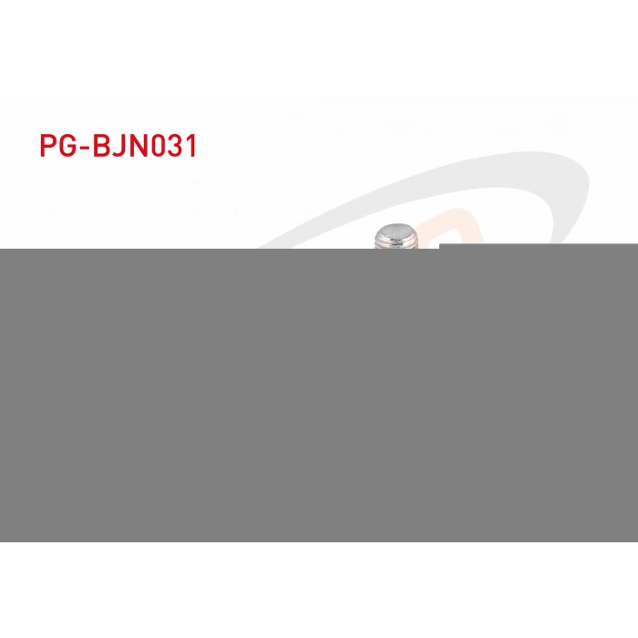 BIJON CIVATASI RENAULT MEGANE / CLIO / KANGOO AA.17