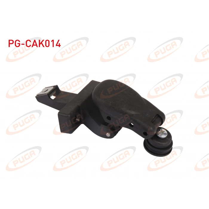 CAM ACMA MANDALI FIORINO