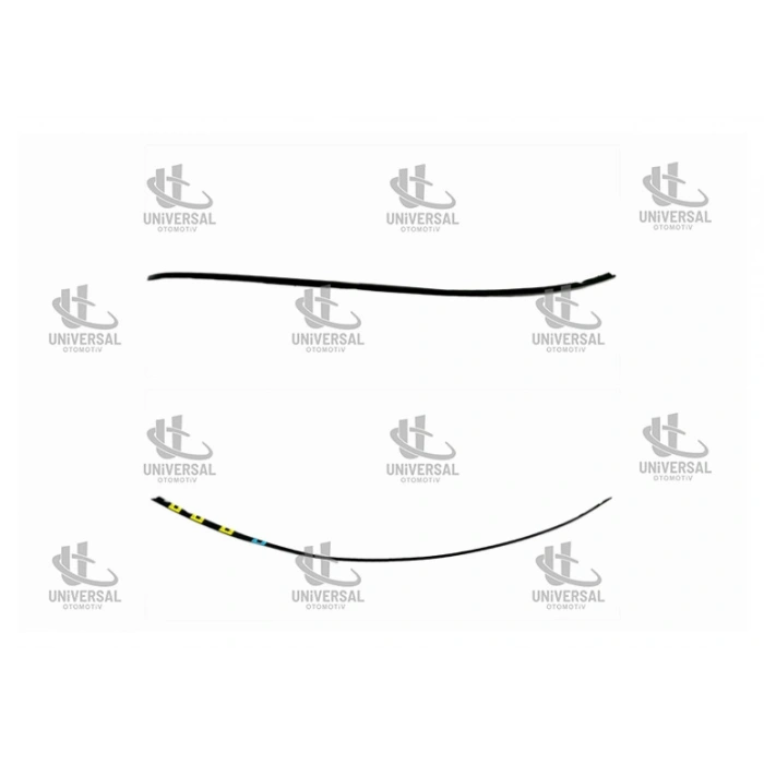 ÇITA TAVAN CIVIC 06-11 RH