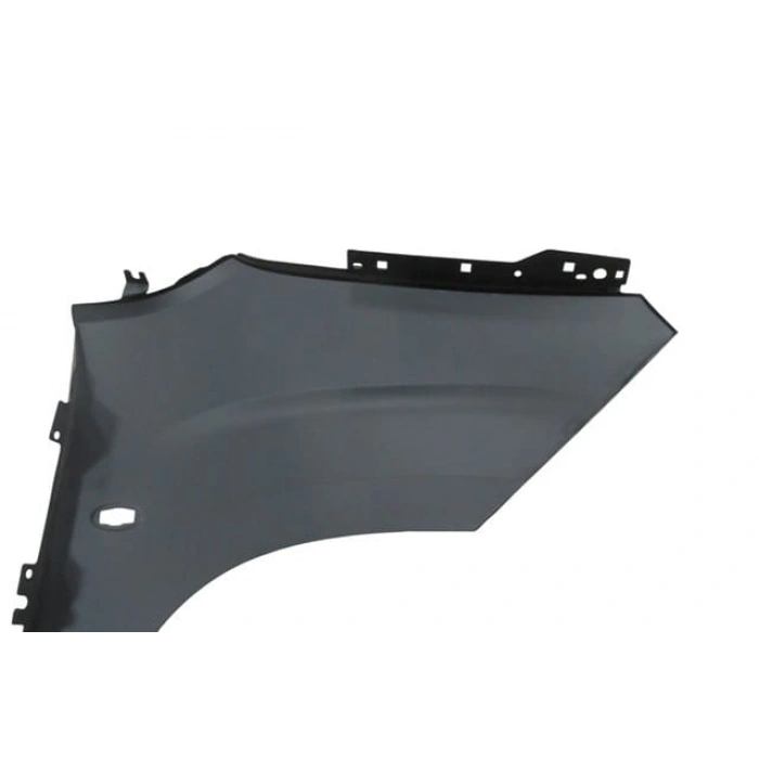 CITROEN BERLINGO- 24/25; ÖN ÇAMURLUK DELİKLİ SOL (EAGLE BODY)