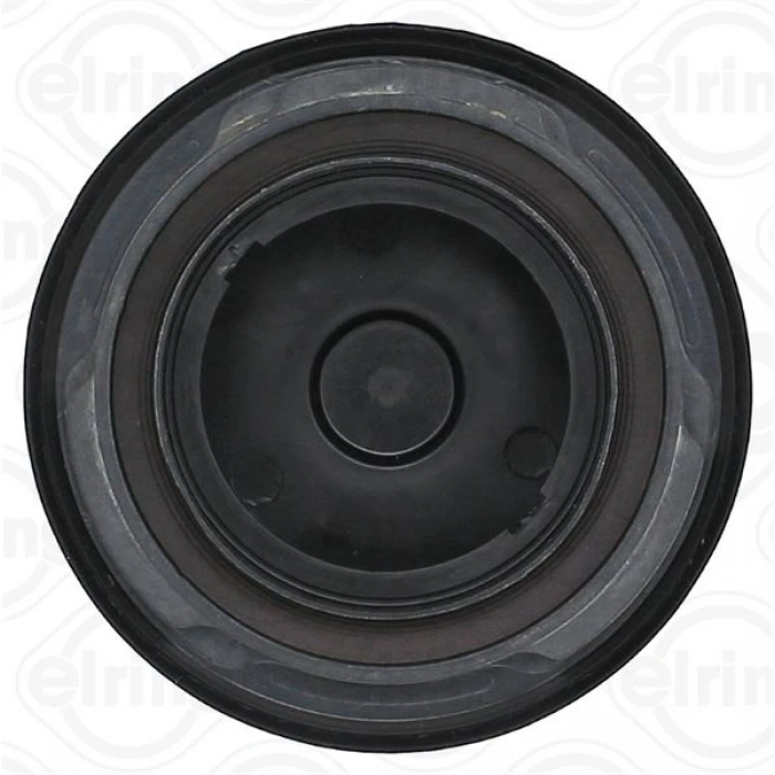 CONTA, EGZOZ MANİFOLDU