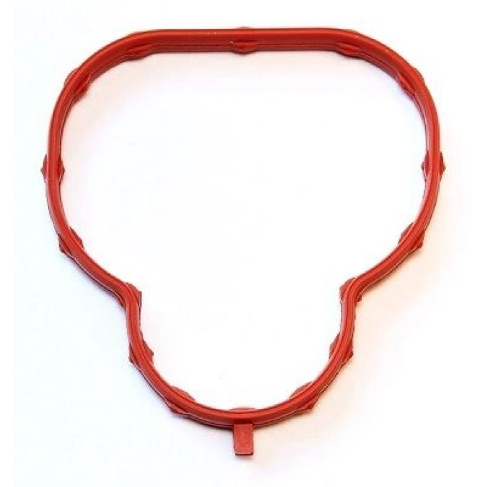 CONTA, EGZOZ MANİFOLDU