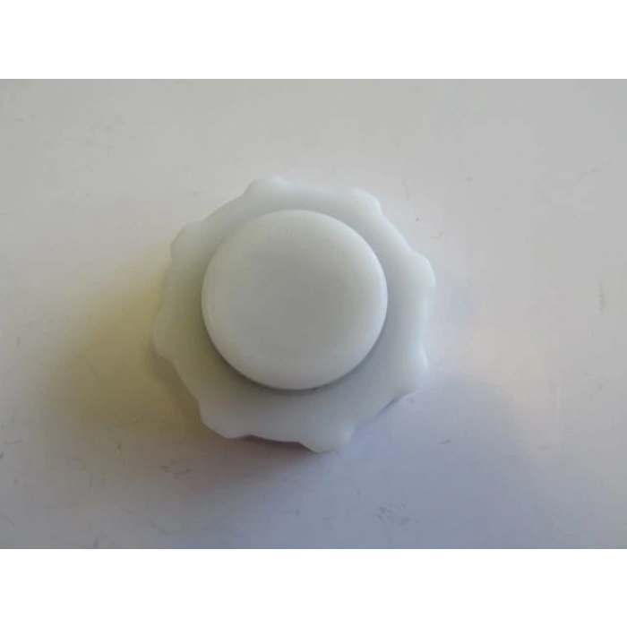 DACIA SOLENZA- 03/06; RADYATÖR YEDEK SU DEPOSU KAPAĞI (BEYAZ)