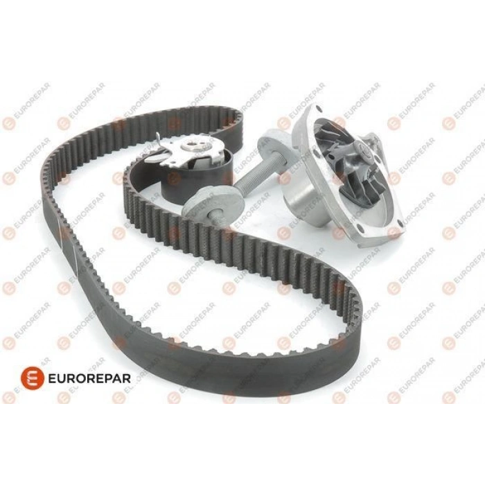 EERPMQTRIGERKAYISI 97-00