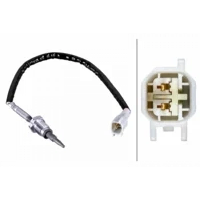 EGZOS SICAKLIK SENSÖRÜ RANGER 3.2 200 PS 11-