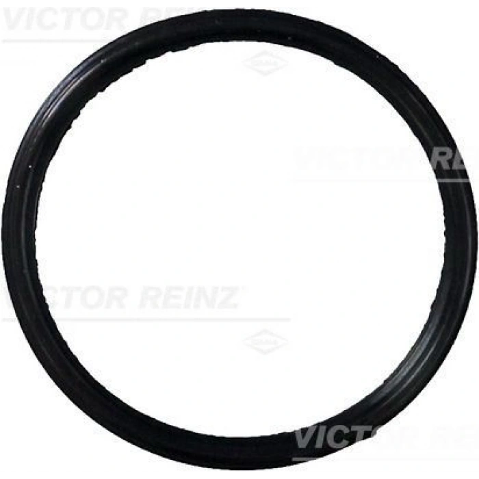 EGZOZ MANİFOLD CONTASI