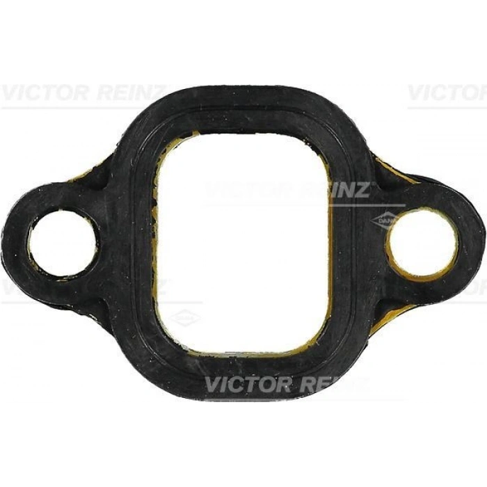 EGZOZ MANİFOLD CONTASI