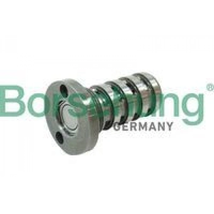 EKSANTRİK MİL VALFİ (GERGİ CİVATASI) PASSAT/AUDI A4/A6/1,8 TSI/2,0 TSI (INA427 0016 10) (FEBİ40201) R1