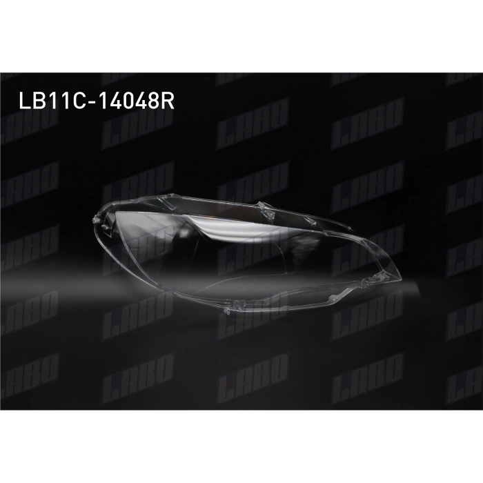 FAR CAMI SAG (LED) BMW X6 (E71) 2008-2013 (A1)