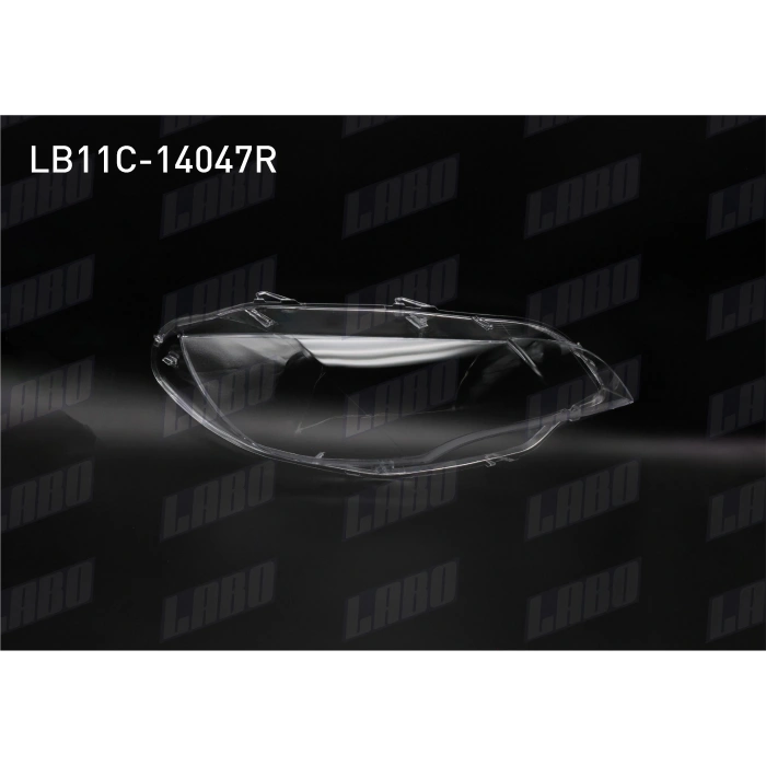 FAR CAMI SAG (XENON) BMW X6 (E71) 2008-2013