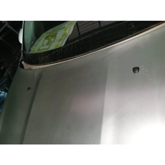 FIAT EGEA- SD/HB- 21/25; MOTOR KAPUTU (İCELİ/ÇEKOMASTİKLİ) (EAGLE BODY)