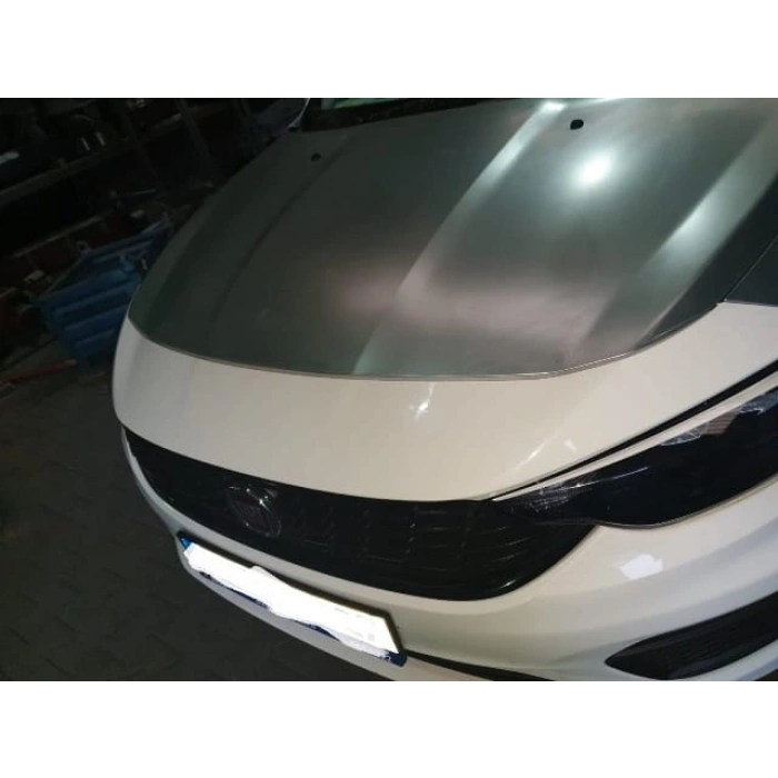 FIAT EGEA- SW- 21; MOTOR KAPUTU (İCELİ/ÇEKOMASTİKLİ) (EAGLE BODY)