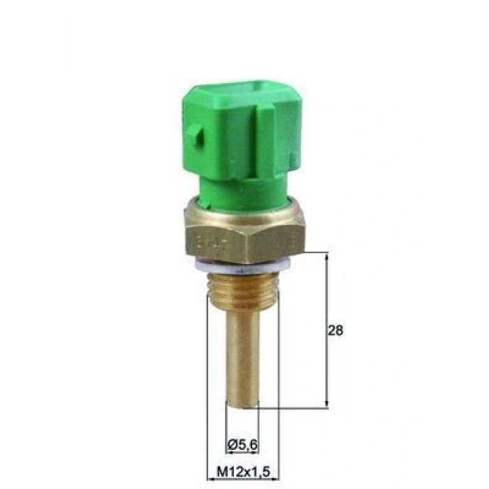 FREN BALATASI TAKIMI