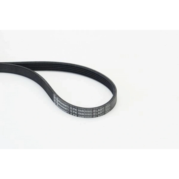 KANALLI V KAYIŞ SETİ