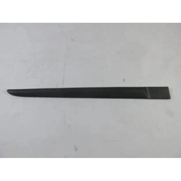 KAPI ÇITASI ARKA SAĞ | RENAULT | CLIO III | 2005-2008