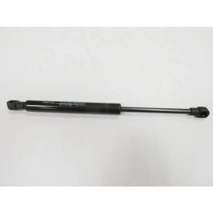 KAPUT AMORTISÖRÜ X5 E53 BM 00-05