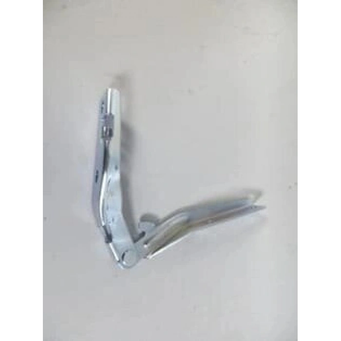 KAPUT MENTESESI : R 206 99-